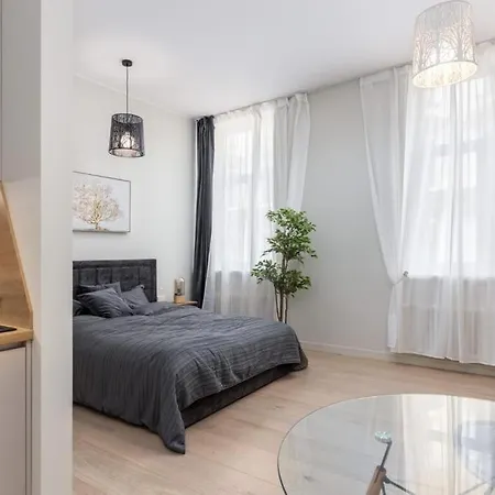 Kalnina Street Modern Studio In *