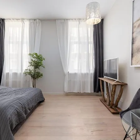 Kalnina Street Modern Studio In Riga